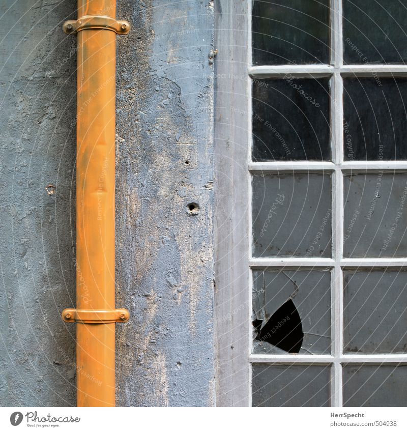 backyard fish Paris Town Old town House (Residential Structure) Building Wall (barrier) Wall (building) Window Eaves Glass Broken Trashy Gloomy Yellow Gray