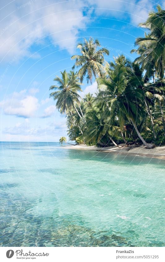 Dreamlike, deserted beach. Coconut palms and crystal clear turquoise water Beach Palm beach Vacation & Travel Exterior shot Vacation mood Palm tree Nature