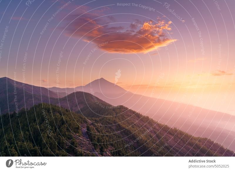 Amazing view of rocky mountains at sunset landscape scenery valley tree nature coniferous picturesque tenerife spain canary islands forest green environment