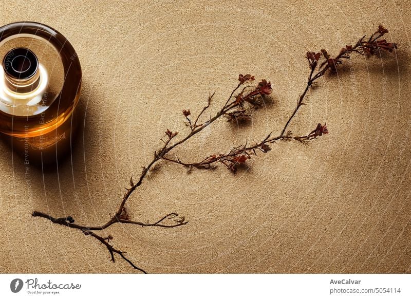 Mockup design of perfume bottle with plant branch on. Empty, blank and copy space wallpaper. Bottle of essential oil with herbs. Elegant and minimalistic podium scene for product presentation.