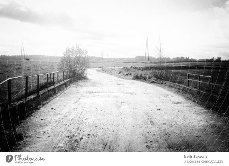 over old bridge and far away. There`s a cow near pylon road country road railing damaged weathered black and white cattle electric electric cow farm plain flat