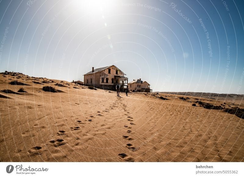 tracks | built on sand Old corrupted Broken House (Residential Structure) Force of nature Ghost town Ruin Sand Light Shadow decay Sunlight Kolmannskuppe