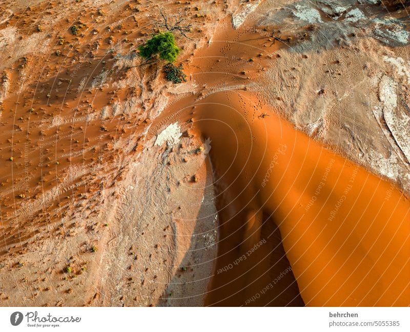 wonderland Shadow Light Sossusvlei Exterior shot Bird's-eye view from on high drone Sesriem dune 45 Sand Desert Africa Namibia Far-off places Wanderlust Longing