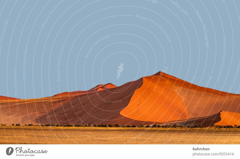 wonderland Shadow Light Sesriem Sossusvlei Exterior shot Namibia Sand Desert Africa Far-off places Wanderlust travel Colour photo Landscape Vacation & Travel