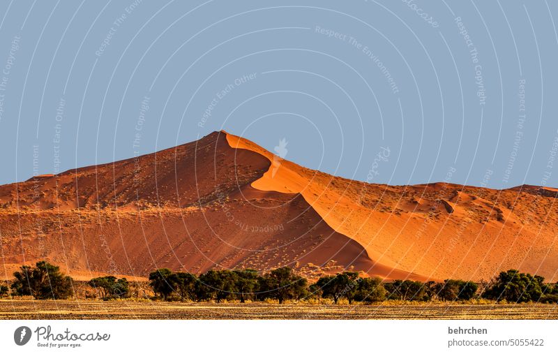 Our Earth Sky Deserted Namib desert Drought Dry Mountain Tree trees Climate change Environment sand dune dunes duene magical Impressive especially Gorgeous