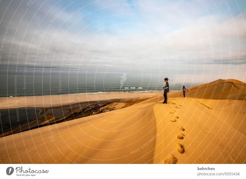 tracks | walking on sand Tracks Namibia Africa Desert Sand Ocean ocean wide Far-off places Wanderlust Longing travel Colour photo Landscape Vacation & Travel