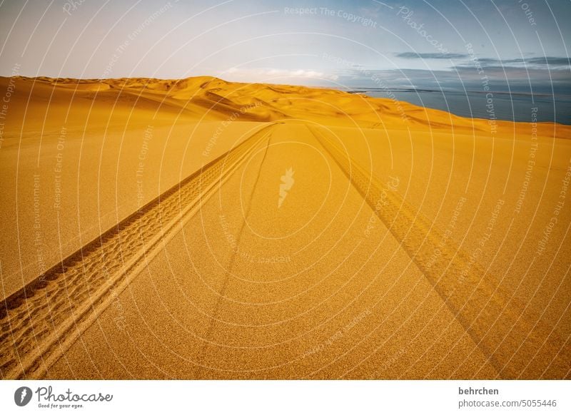 tracks | driving on sand sandwich harbour sand dune dunes duene sandwich habour magical Impressive especially Gorgeous Swakopmund Walvis bay Warmth Sky Horizon