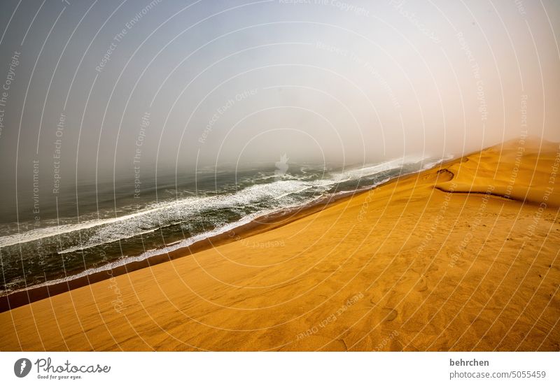 wellness sand dune Dunes Impressive magical duene Gorgeous Swakopmund Walvis bay Warmth Sky Horizon Vacation & Travel Nature Adventure Landscape travel