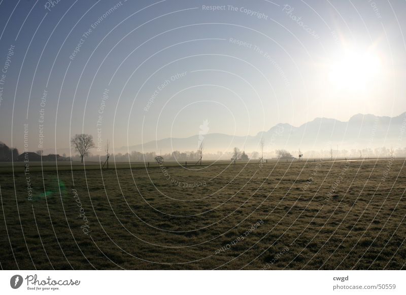 sun comes up, v3.0 Morning Field Sunrise Switzerland Austria Rhein valley Plain Rural Cold Exterior shot Mountain Blue sky Alps Frost frosty Pasture gets warmer