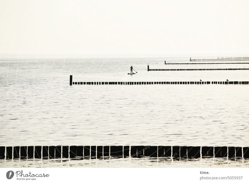 Boards for the World | Tea Paddling on the Baltic Sea stand-up paddling paddle up Sports Aquatics Break water Horizon Back-light wooden posts Lonely