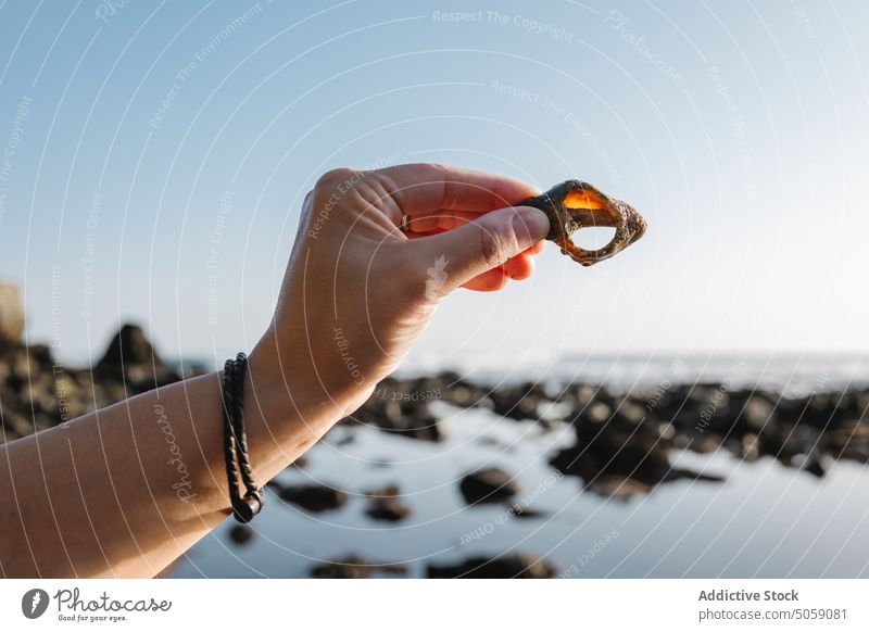 Crop woman showing seashell near sea tourist sunrise cloudless sky morning summer hole alkolea beach mutriku gipuzkoa spain tranquil tourism shore natural coast