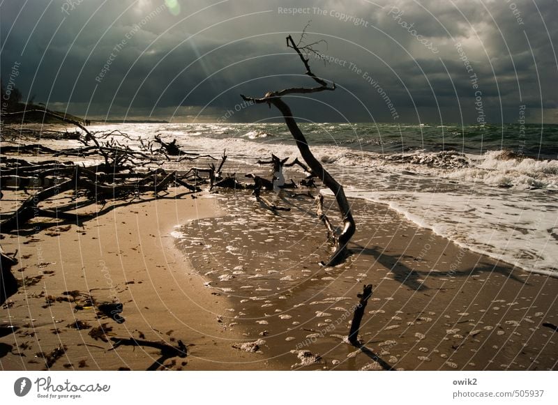 After the storm Environment Nature Landscape Plant Elements Water Sky Storm clouds Horizon Climate Beautiful weather Wind Waves Coast Baltic Sea Western Beach