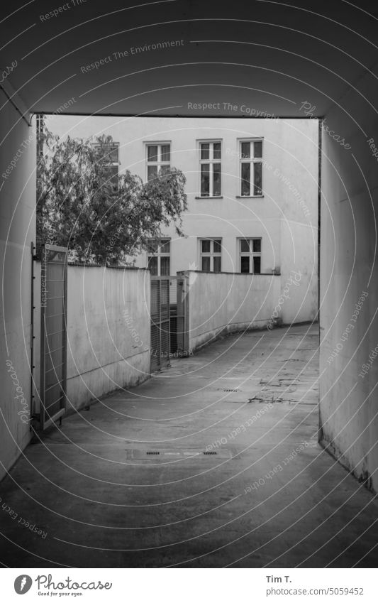 Backyard Wedding b/w Autumn Courtyard Interior courtyard Black & white photo Town Architecture Downtown Day Berlin Deserted Capital city Old town Exterior shot