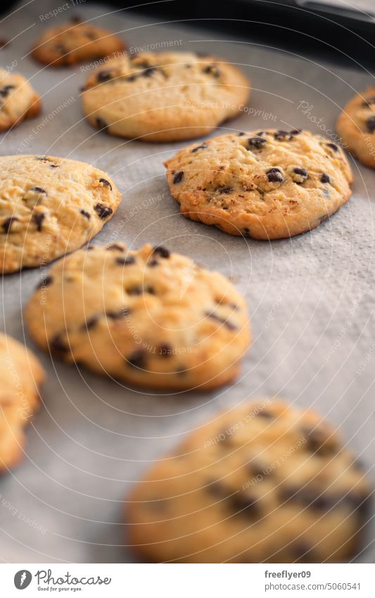 Homemade cookies on a baking tray homemade gluten gluten free chocolate chips food bio vegan healthy treat bake copy space sweet tasty snack junk food sugar