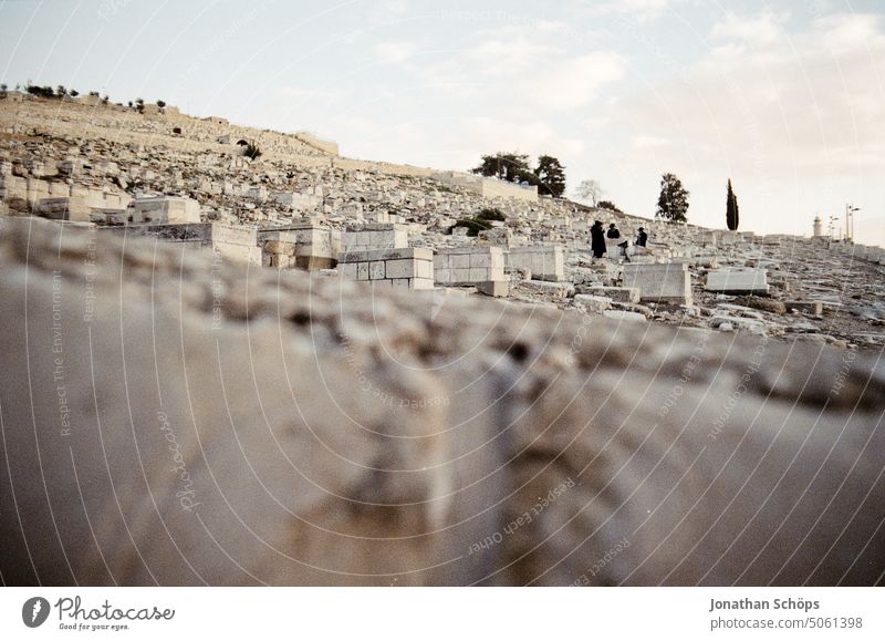 Jerusalem, Israel Film Isreal West Jerusalem Grain Middle East Travel photography travel Summer South Analog Cemetery 35mm analogue photography film photography