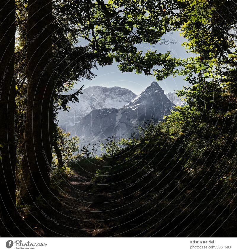 The window to the mountains Forest Window Nature Hiking Beauty & Beauty Mountain Alps Sky Deserted Peak Landscape