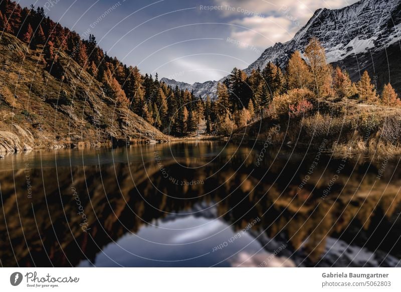 Magical Schwarzsee in golden autumn, with reflection of rocky, wild nature from Lötschental, Valais, Switzerland Lake Hiking larches Tourism Reflection Alps