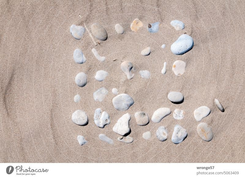 Square with small error - 37 stones and a small wood lie in the Baltic Sea sand Baltic beach Baltic sand Stone collection Arranged square Nature Beach coast