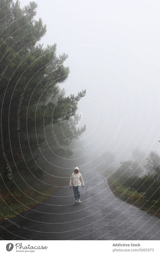 Woman walking on foggy forest with tall trees in countryside woman gloomy nature woods haze mist environment flora woodland female autumn wild scenery dense