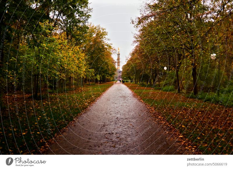 Great Tiergarten with Victory Column Evening Tree Berlin leaf gold Monument Germany Twilight else Closing time Figure Gold Goldelse victory statue big star