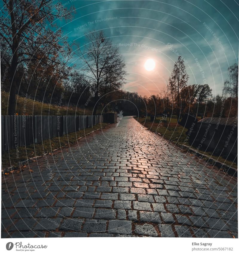 Structures and shapes-blue hour-plaster stones-evening sky Paving stone Stone Cobblestones Shadow Lanes & trails Transport Night Pavement Exterior shot Deserted