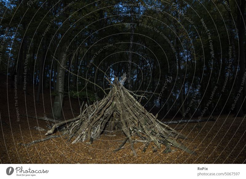 Children tipi at night in the forest. Autumn Landscape off path oaks Avenue off the beaten track Nature forest path Season Weather landscape foliage autumn fog