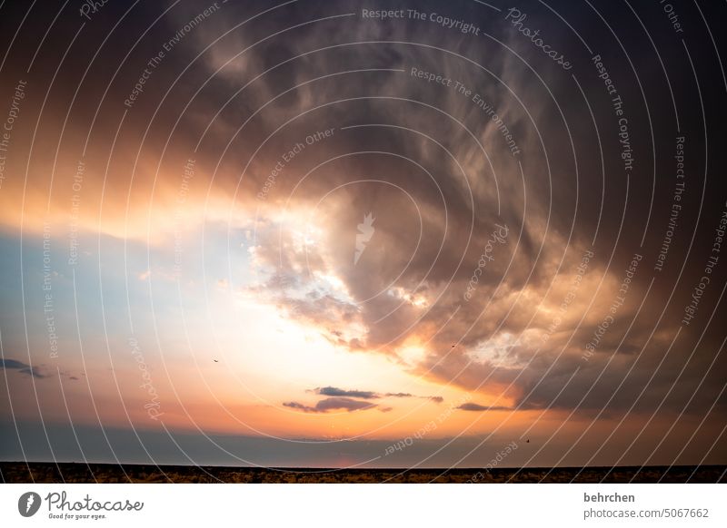 when the sun shines again Belief Hope Dusk sunshine Evening Sunset Raincloud Storm Sunlight Sky Fantastic Clouds Etosha pan Exterior shot etosha national park