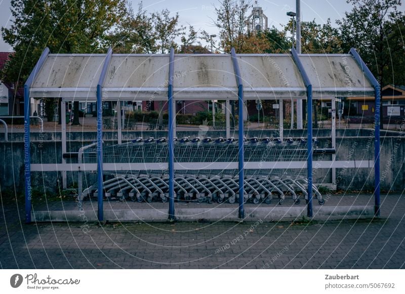 Shopping carts stand neatly in a row, in a covered shelter made of blue steel beams purchasing Shopping Trolley Row Beaded Arrangement SHOPPING Consumption