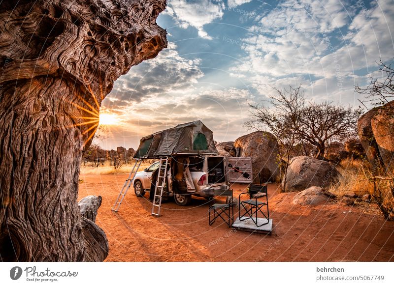 on the road at home Sky Drought Dry Mountain Tree Environment Climate change Warmth Gorgeous especially Impressive magical Adventure Loneliness Nature