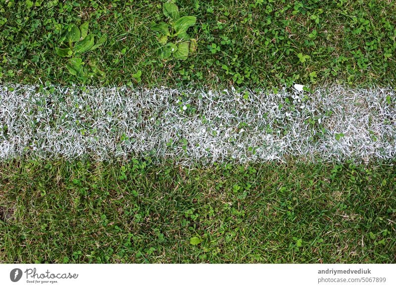 Top view of the white Line marking on the natural green grass soccer field. Green grass and sport lines painted at an outdoor playing field. Football field. Sports background for product display.