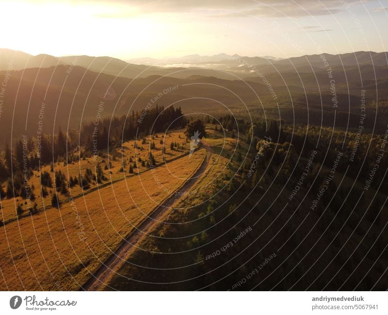 Aerial view of beautiful mountain Carpathians, Ukraine in sunlight. Drone filmed an landscape with coniferous and beech forests, around a winding serpentine road, copter aerial photo