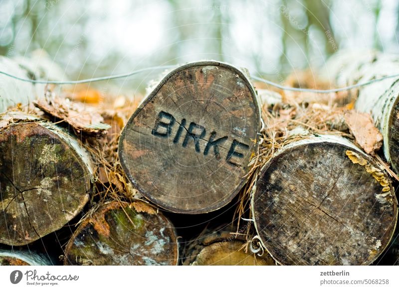 Wood, birch Autumn Nature trunk forest Forestry Woodcutter cubic metre Harvest Fuel Renewable raw materials Grunewald trunk tree Tree trunk writing Inscription