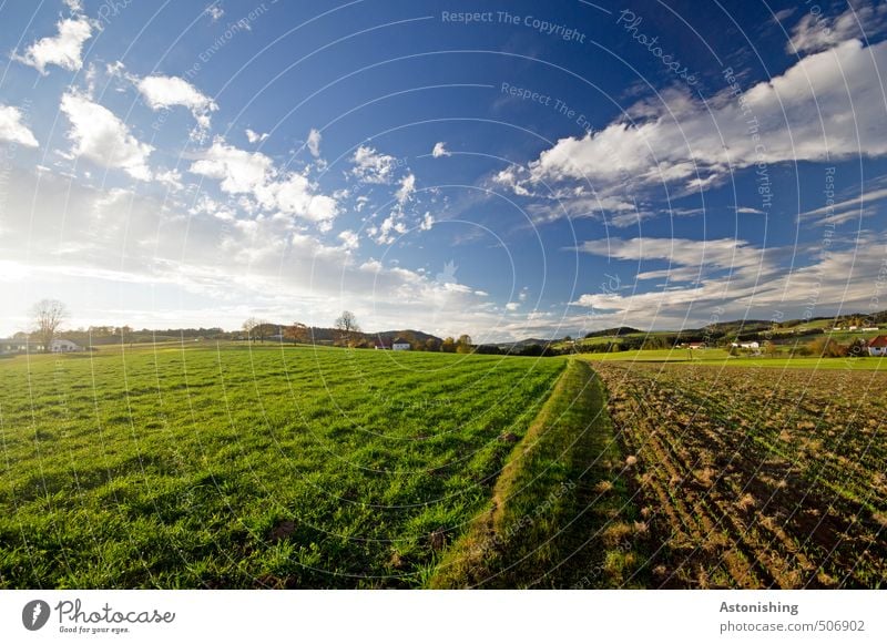 Hilly country 2 Environment Nature Landscape Plant Sky Clouds Horizon Summer Weather Beautiful weather Warmth Tree Grass Meadow Field Forest mill district