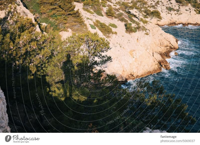 Shadow Walker person Mediterranean sea Calanque Bay coast Limestone limestone rock Rock Shadow play pines Forest Warmth Provence Southern France Provençal Waves