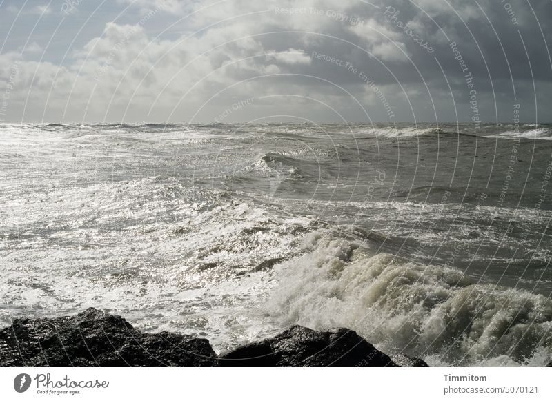 Stormy times North Sea Water Waves stormy Mole Piers Sky Clouds coast Nature Deserted Denmark Horizon Glittering White crest