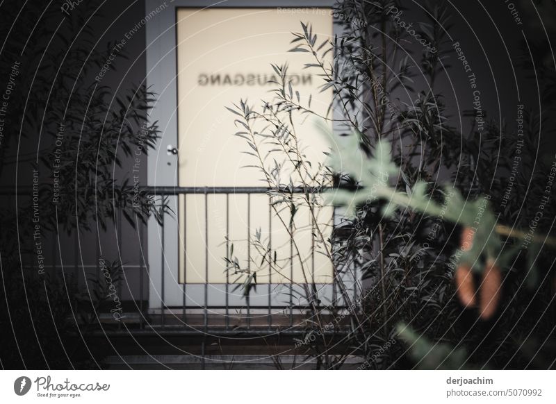 The illuminated back entrance of a clinic, with circulating railings as well as individual branches of shrubs. Front door Deserted Exterior shot Colour photo