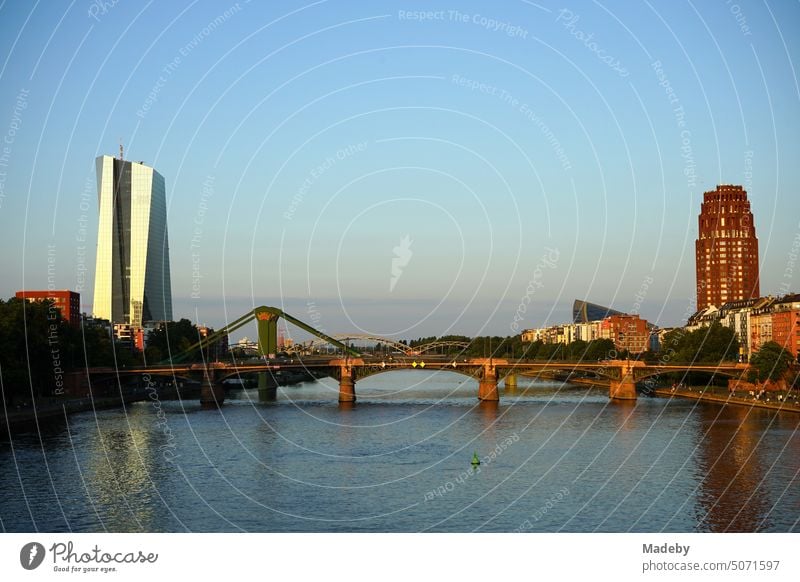 View from the Old Bridge upstream to the Ignatz Bubis Bridge and Deutschherrnufer in summer in the light of the setting sun in Frankfurt am Main in Hesse, Germany