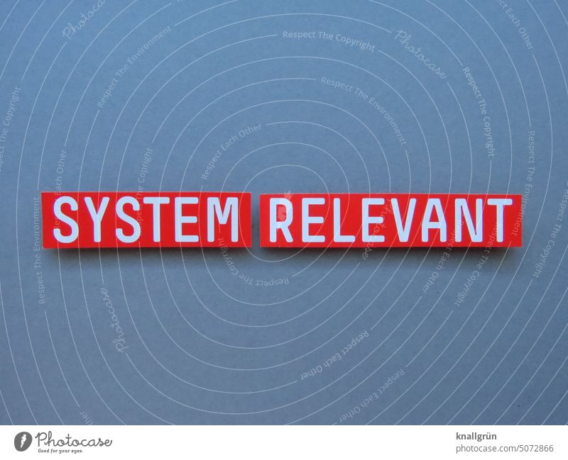 System relevant Crisis Society Politics and state institution Useful Profession System Stable finance banks Corporations Expectation Moody Future Change