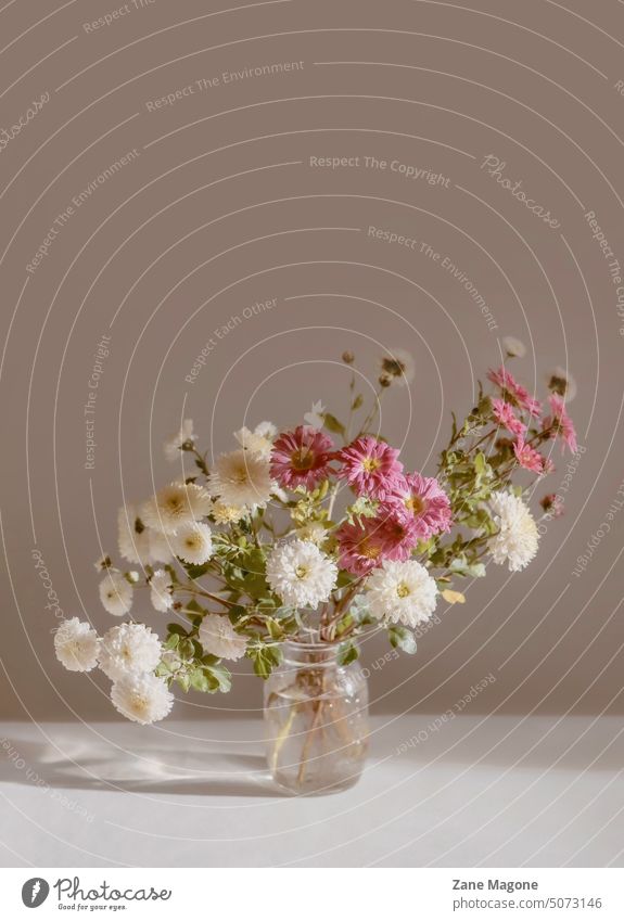 Floral arrangement in neutral tones flower arrangement flower arranging arranging flowers Garden mum Dendranthema aesthetic flower arrangement aesthetc flower