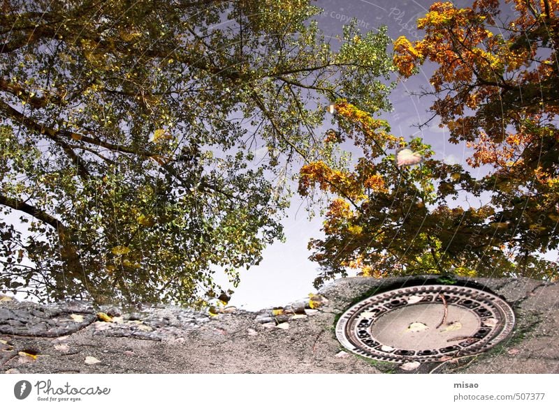 Autumn in the puddle II Fragrance Construction site Solar Power Environment Nature Air Cloudless sky Beautiful weather Tree Park Town Outskirts Deserted Places