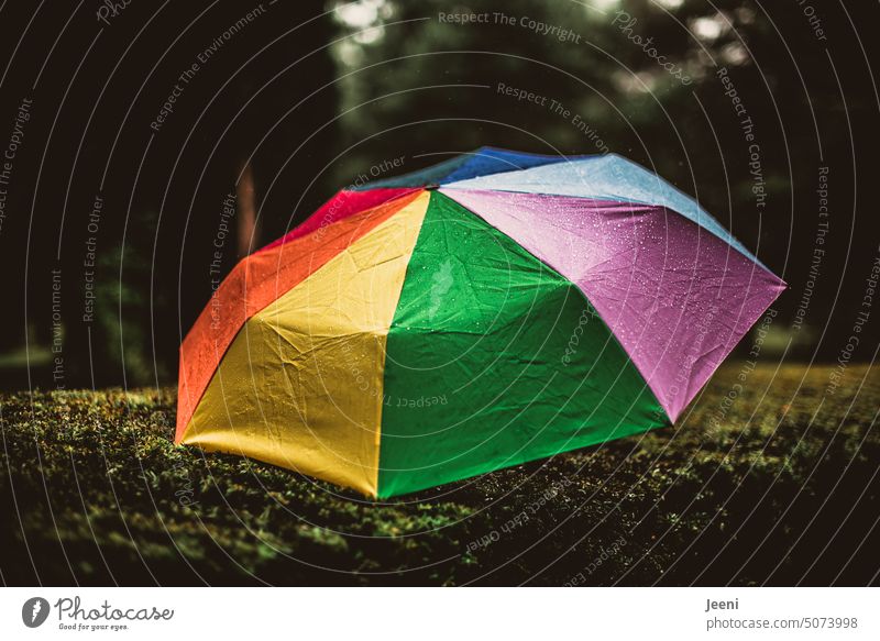 [HH Unnamed Road] wet colorful umbrella Umbrella Autumn Wet variegated Rain Rainy weather Park Hedge Deposited raindrops Bad weather Prismatic colors