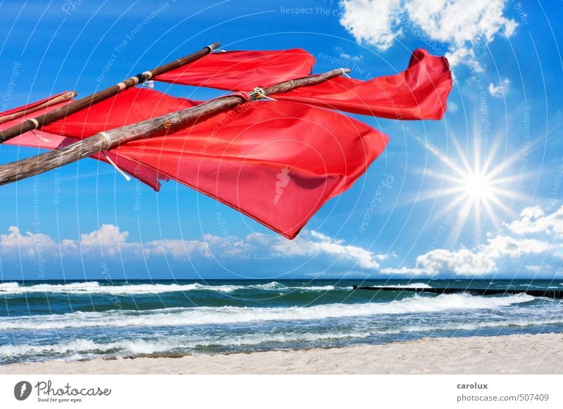 Red Signal Flags at the Baltic Sea Beach Summer Nature Wind Creativity Optimism Europe Germany Maritime National Park Coast Sky Ocean Sun Sunbeam Buoy Fisherman