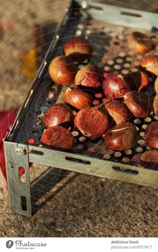 Delicious chestnuts on metal tray leaves autumn forest pile season edible tasty natural fresh nutrition delicious heap organic ingredient food plant seed