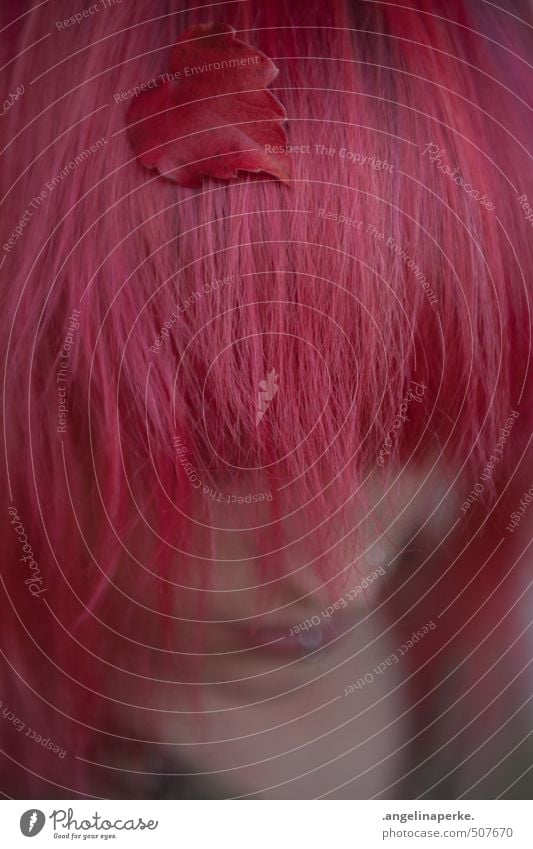 camouflage Leaf Autumn Hair and hairstyles Pink Shallow depth of field Autumn leaves