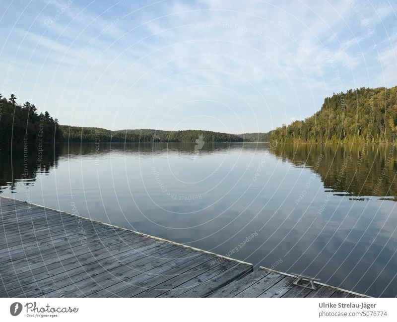 Lake with jetty in Canada Footbridge Water Sky Autumn tranquillity Calm Peaceful peaceful atmosphere Autumnal Lakeside Nature Deserted Water reflection