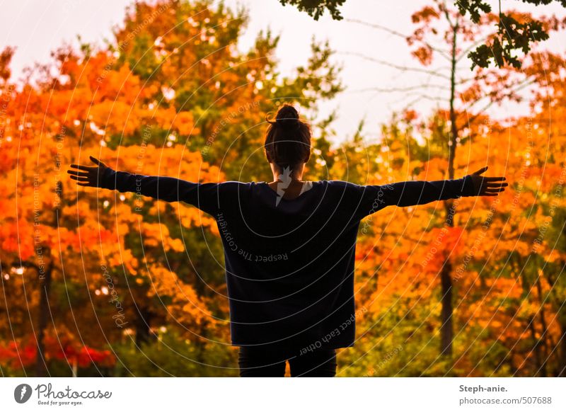 Welcome autumn with open arms. Feminine 1 Human being Nature Autumn Tree Chignon To enjoy Love Embrace Wait Exceptional Free Happy Natural Multicoloured Yellow