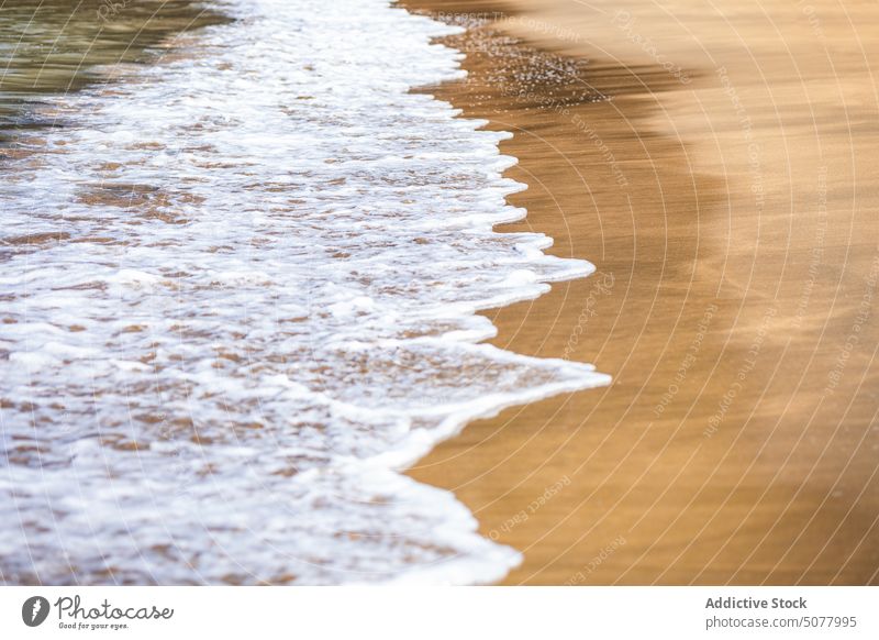 Foaming wave of sea on shore foam roll seashore sand beach coast water nature getaria spain europe seaside coastline seascape wet ocean splash bay environment