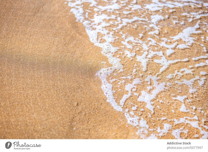 Foaming wave of sea on shore foam roll seashore sand beach coast water nature getaria spain europe seaside coastline seascape wet ocean splash bay environment