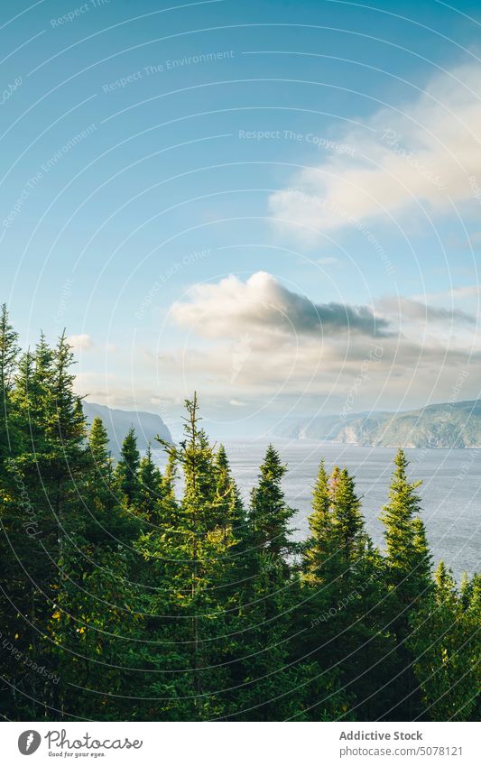 Picturesque view of lake and mountains tree slope forest nature landscape cloudy sky environment canada weather water season scenic breathtaking picturesque