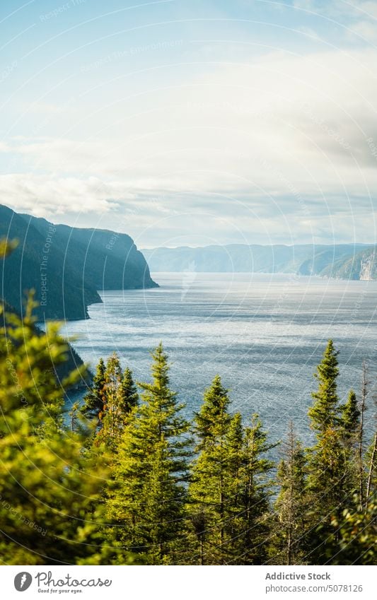 Picturesque view of lake and mountains tree slope forest nature landscape cloudy sky environment canada weather water season scenic breathtaking picturesque